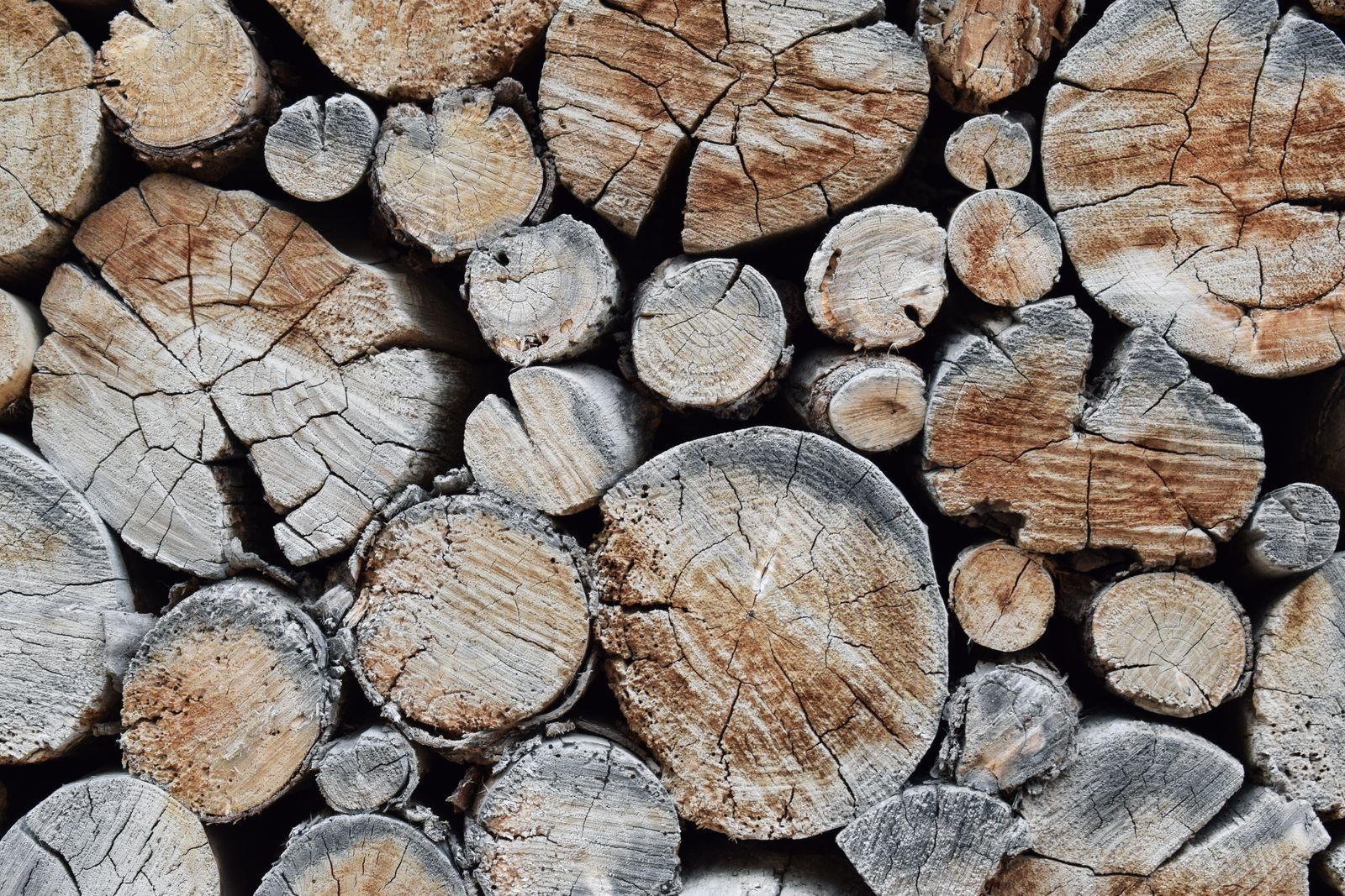 Stacked logs milled and split from removed trees