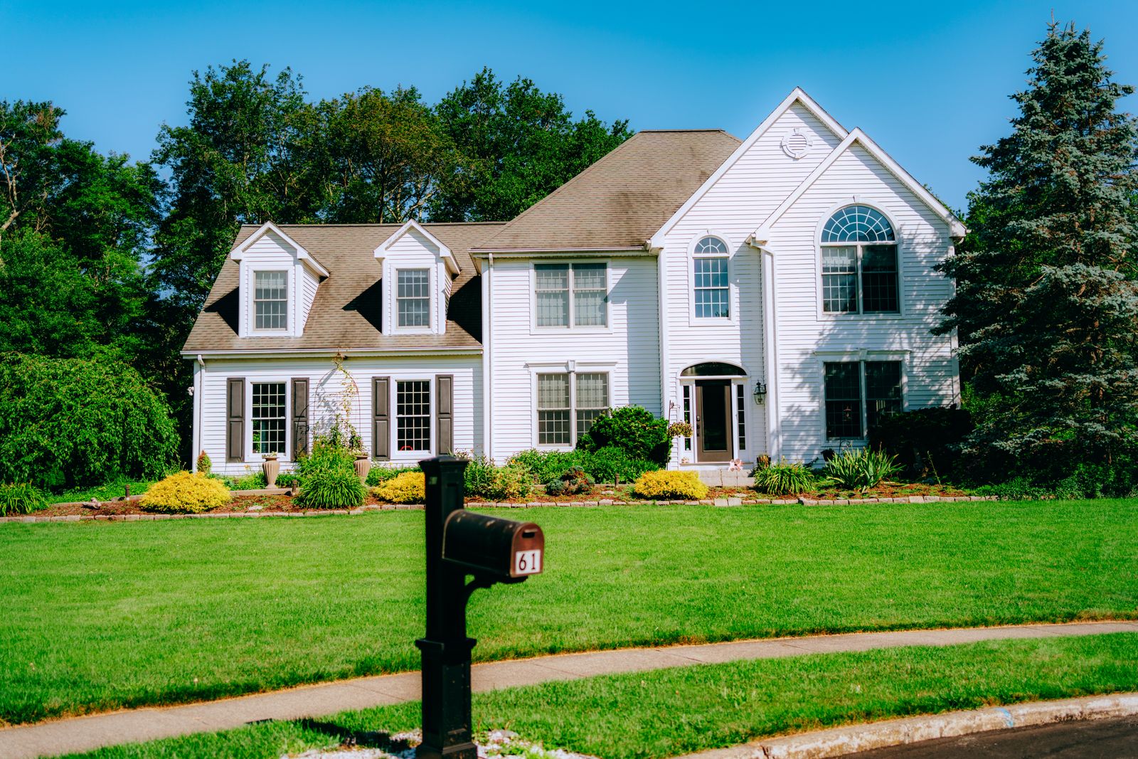 Estate tree inventory in Wayzata