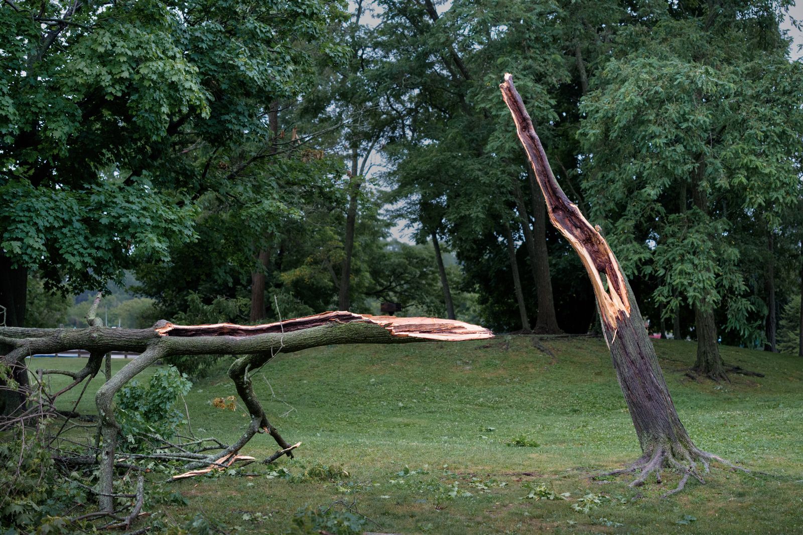 Derecho cleanup in Longfellow