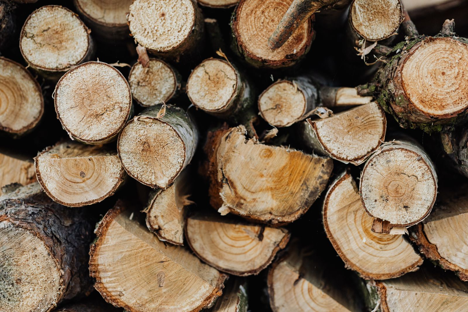 Stacked logs milled and split from removed trees