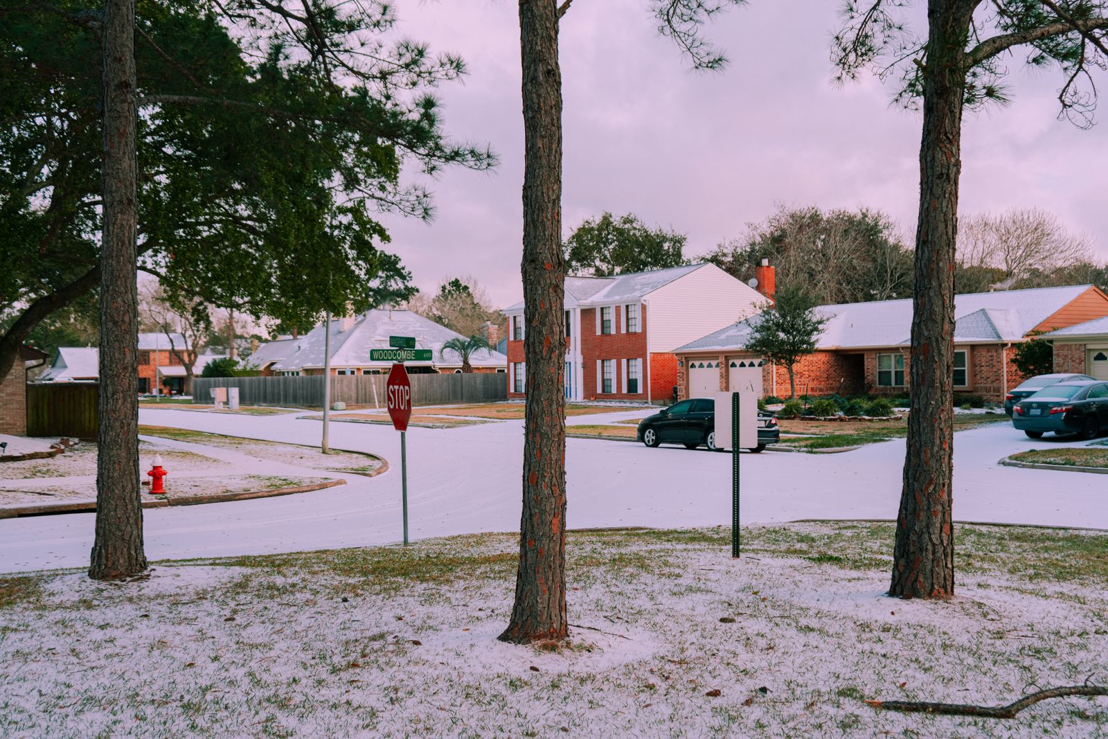 Snow-covered residential street lined with dormant trees