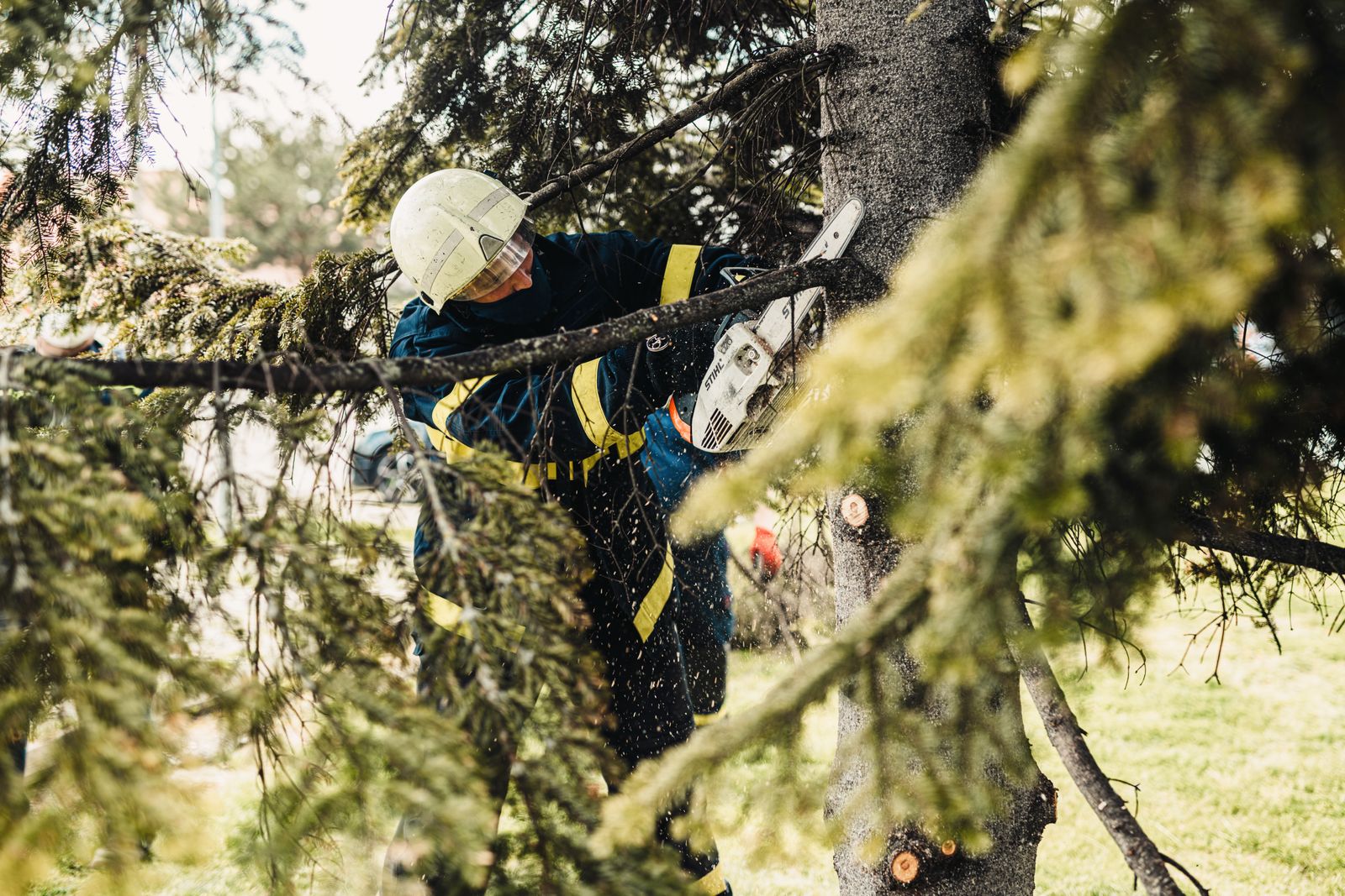 Evergreen crew cutting and processing wood on a job site