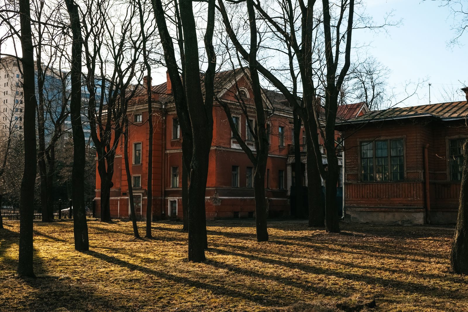 Snow-covered residential street lined with dormant trees